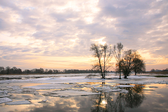 Hafen Groß Neuendorf | 2010